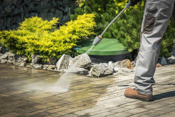 Animal Enclosure Cleaning in Hollidaysburg, PA
