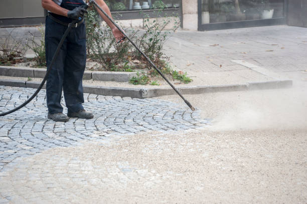 Best Gutter Cleaning  in Hollidaysburg, PA